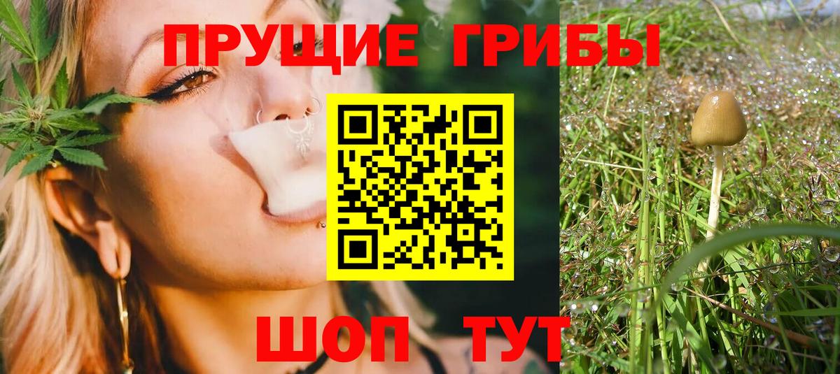 Галлюциногенные грибы MAGIC MUSHROOMS  Вход с VPN  Сердобск 